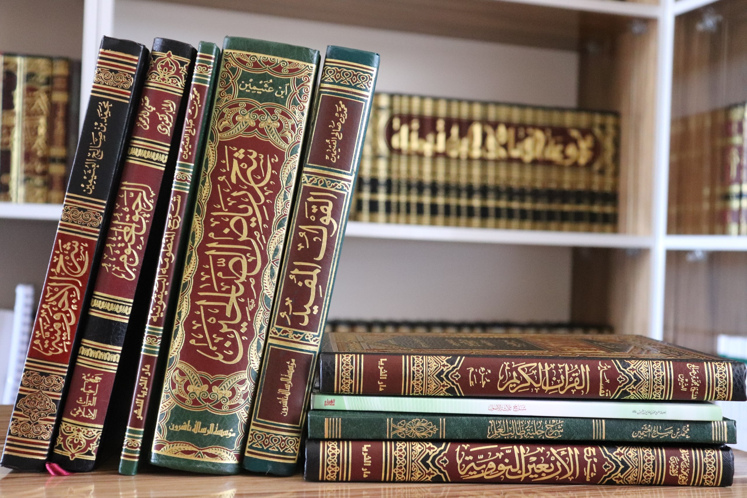 فصول في الآداب